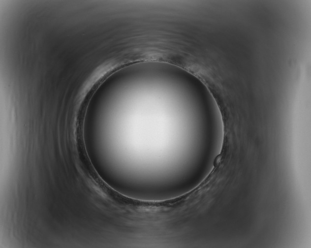 X0000085080242200703121709