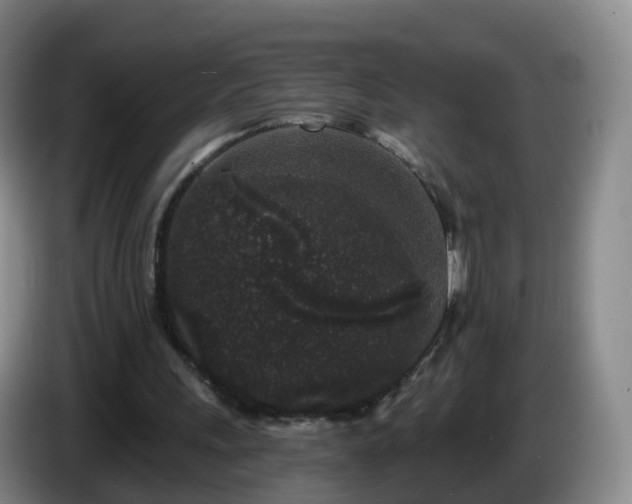 X0000085080243200703121709