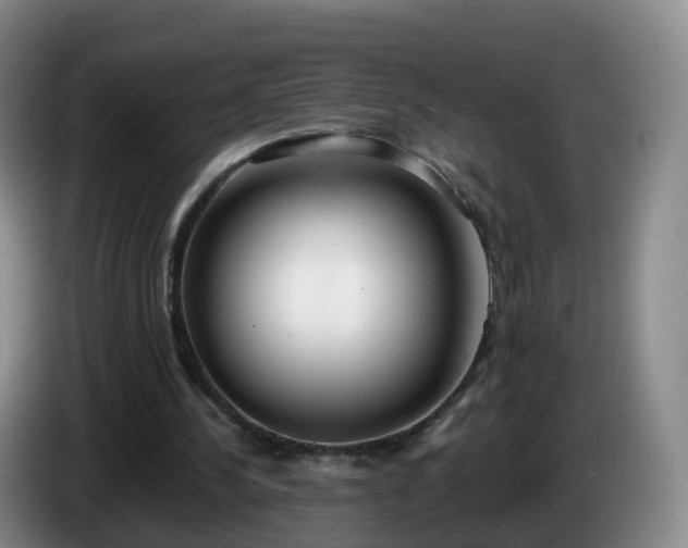 X0000085080244200703121709