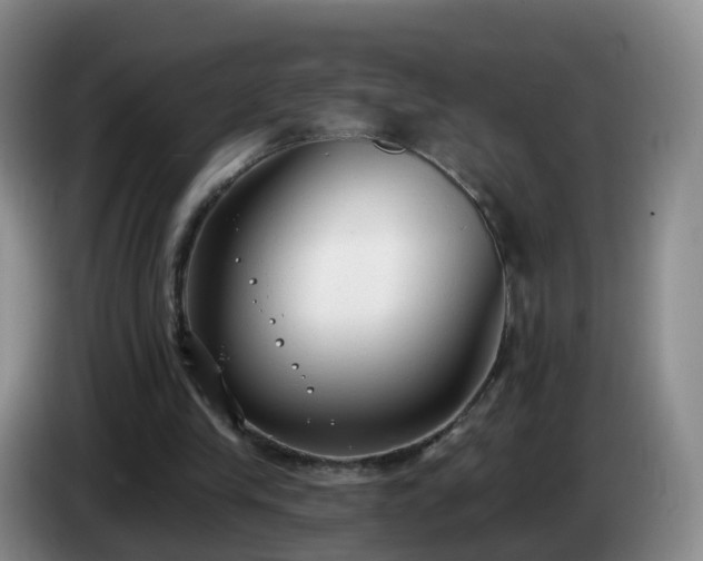 X0000085080245200703121709