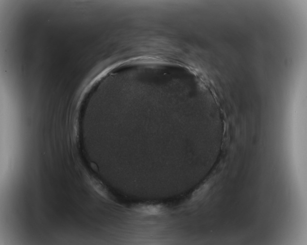 X0000085080247200703121709