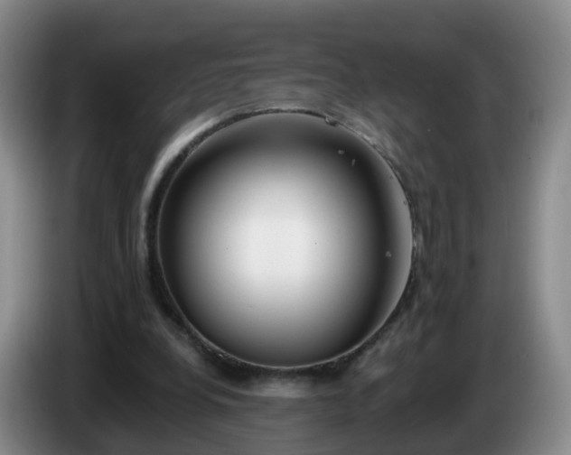 X0000085080248200703121709