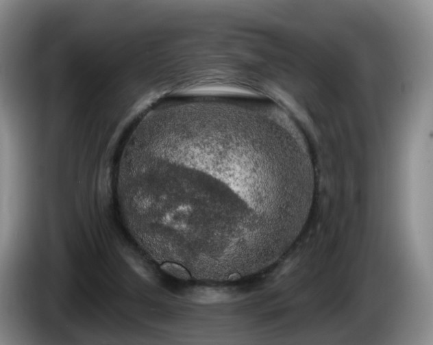 X0000085080250200703121709