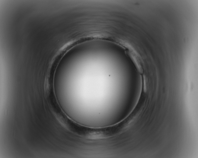 X0000085080252200703121709