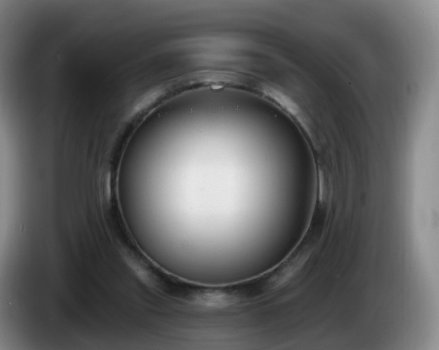 X0000085080253200703121709