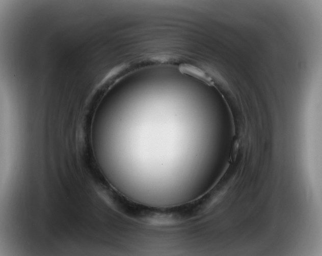 X0000085080256200703121709