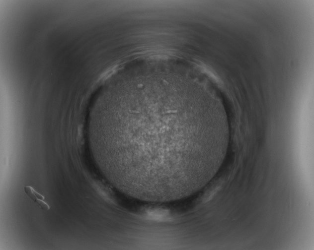 X0000085080258200703121709