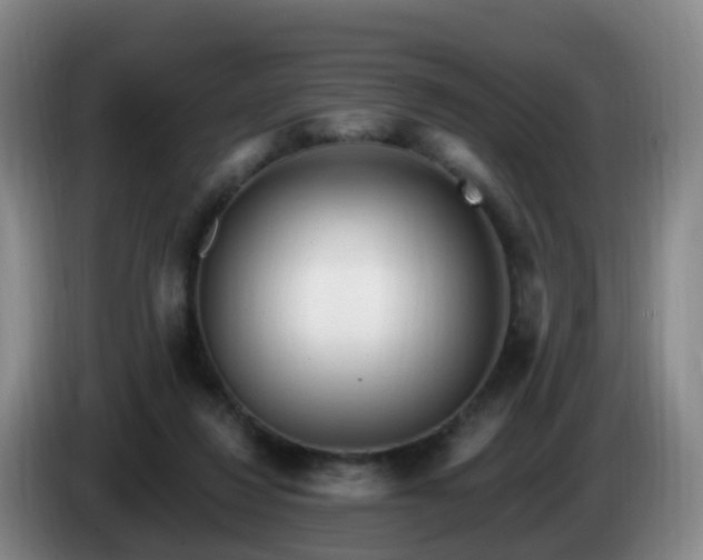 X0000085080260200703121709