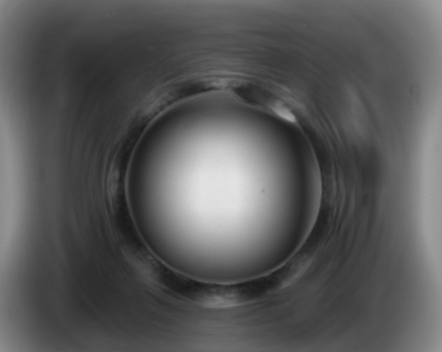 X0000085080263200703121709