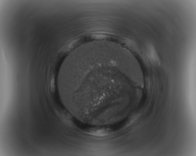 X0000085080267200703121709