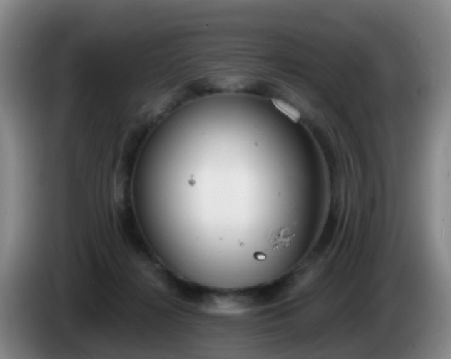 X0000085080268200703121709