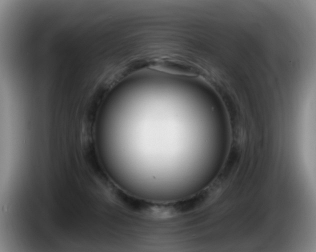 X0000085080272200703121709