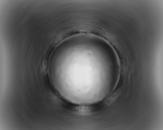 X0000085080273200703121709