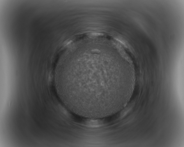 X0000085080277200703121709