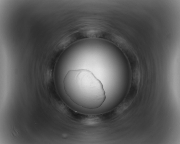 X0000085080278200703121709