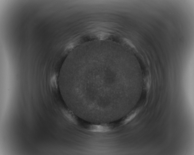 X0000085080286200703121709