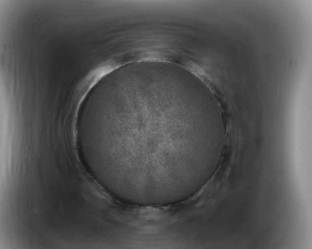 X0000085080290200703121709