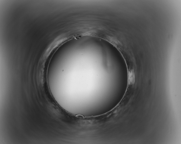 X0000085080291200703121709