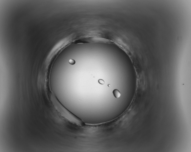 X0000085080293200703121709