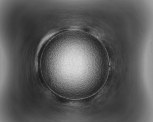 X0000085080294200703121709