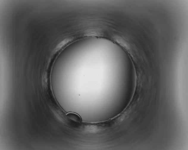 X0000085080298200703121709