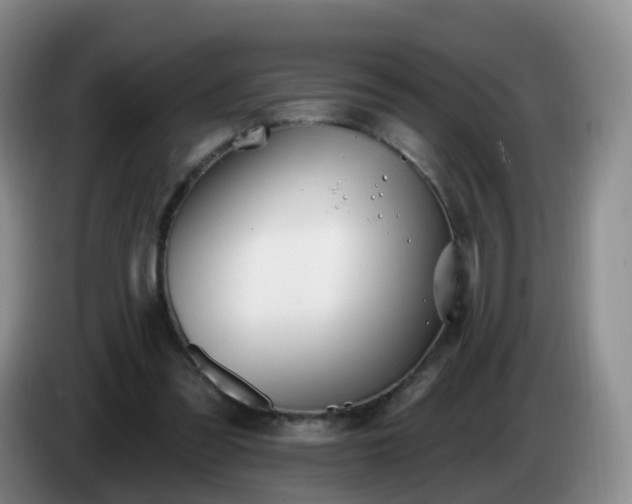 X0000085080301200703121709