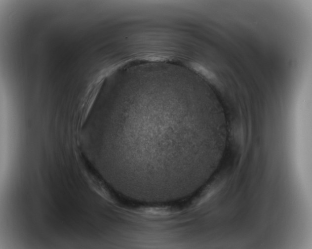 X0000085080303200703121708