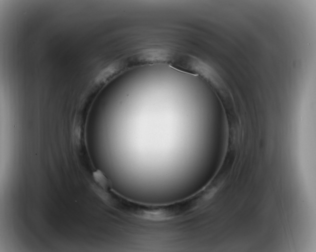 X0000085080309200703121708