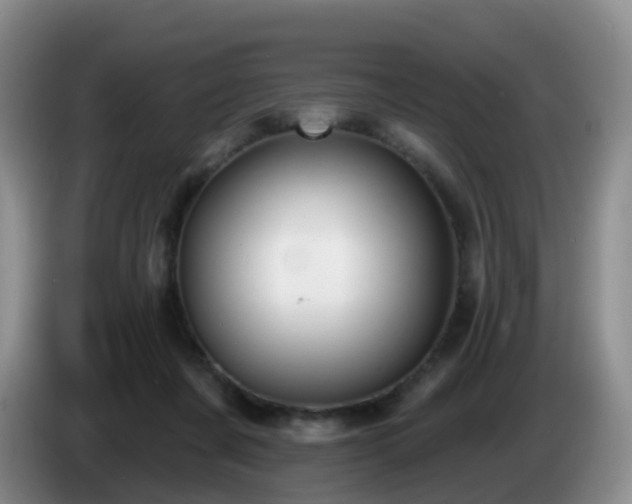 X0000085080311200703121708