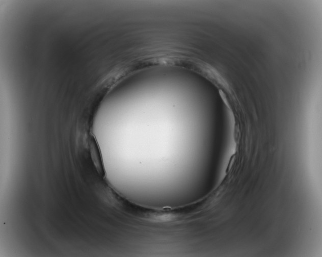 X0000085080313200703121708