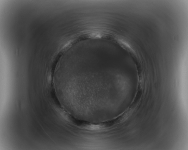 X0000085080314200703121708