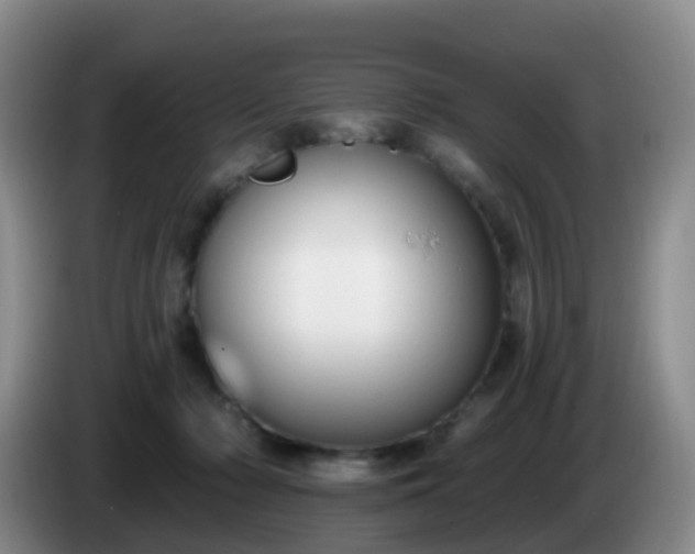 X0000085080318200703121708