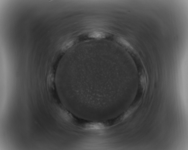 X0000085080322200703121708