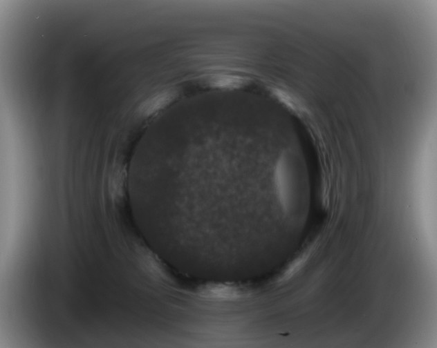 X0000085080325200703121708