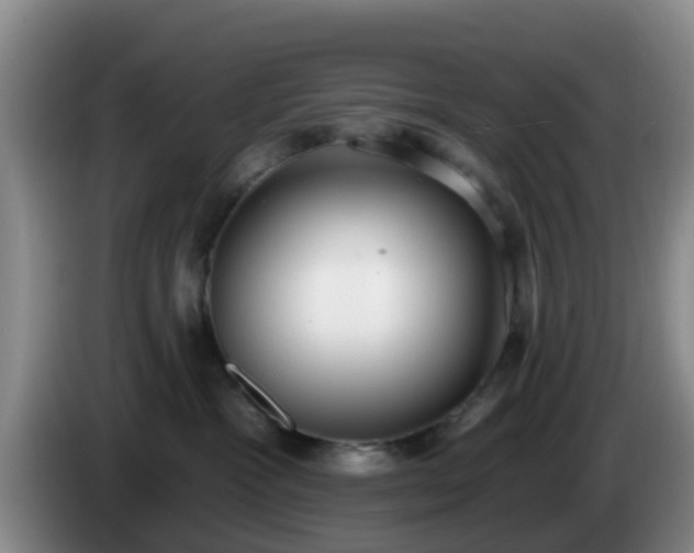 X0000085080333200703121708