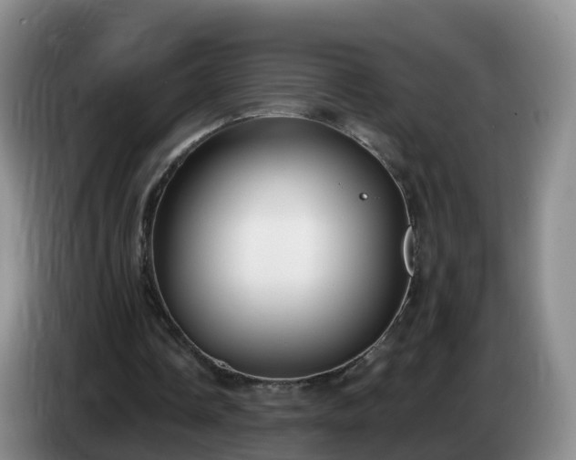 X0000085080338200703121707