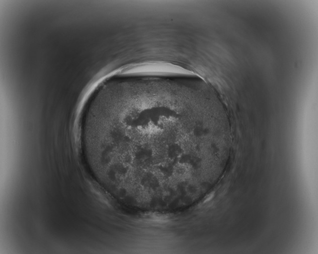 X0000085080343200703121707