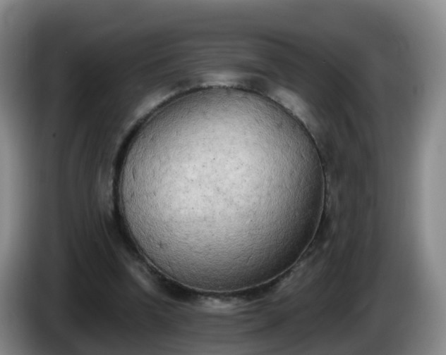 X0000085080346200703121708