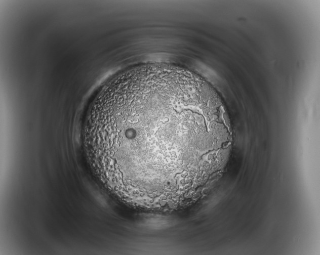 X0000085080347200703121708