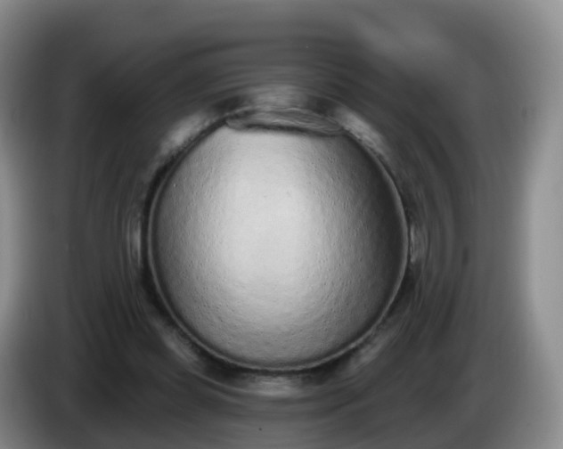 X0000085080349200703121708