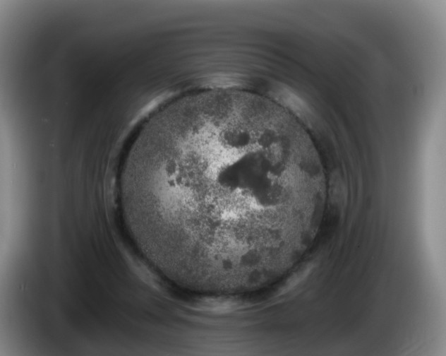 X0000085080351200703121708