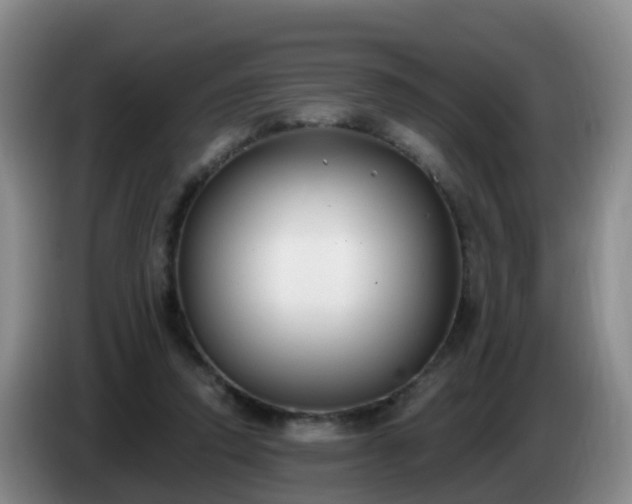 X0000085080354200703121708