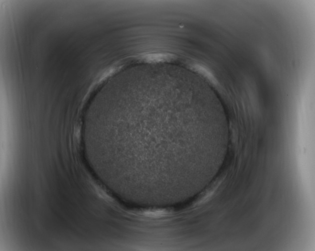 X0000085080357200703121708