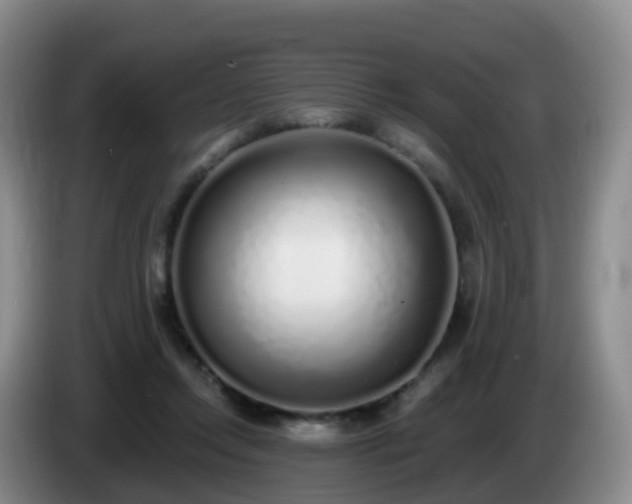 X0000085080358200703121708