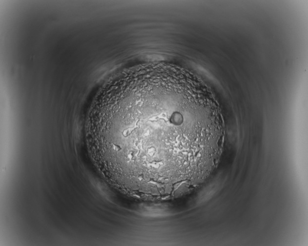 X0000085080359200703121708