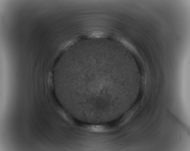 X0000085080361200703121708