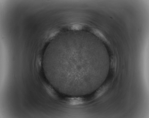 X0000085080363200703121708