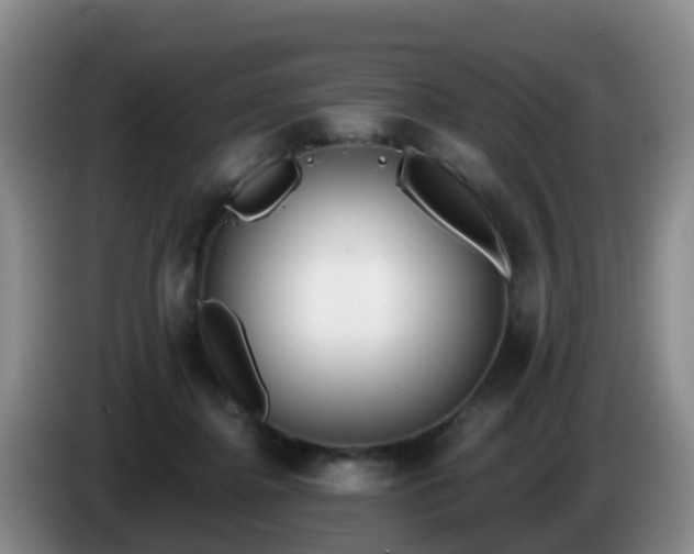 X0000085080364200703121708