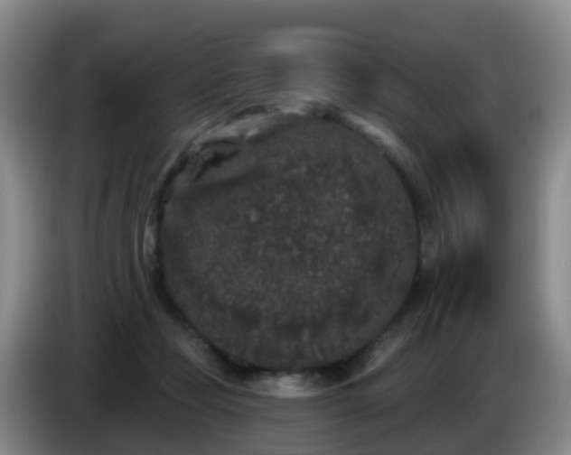 X0000085080365200703121708