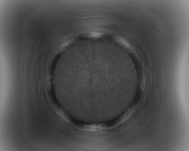 X0000085080366200703121708